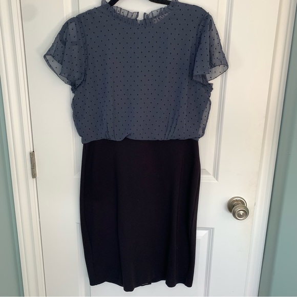 NWT LOFT 10P dress - Picture 1 of 5